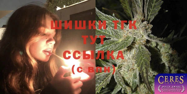 СК Волосово