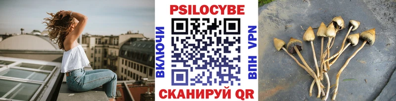 Галлюциногенные грибы Psilocybine cubensis  купить наркотик  Волхов 