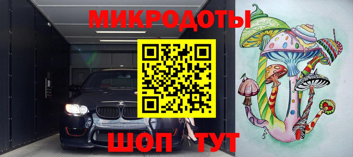 Псилоцибиновые грибы прущие грибы Волхов