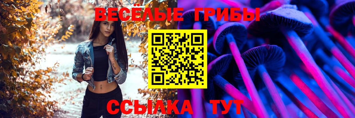 Волхов  Галлюциногенные грибы GOLDEN TEACHER  Вход с VPN 